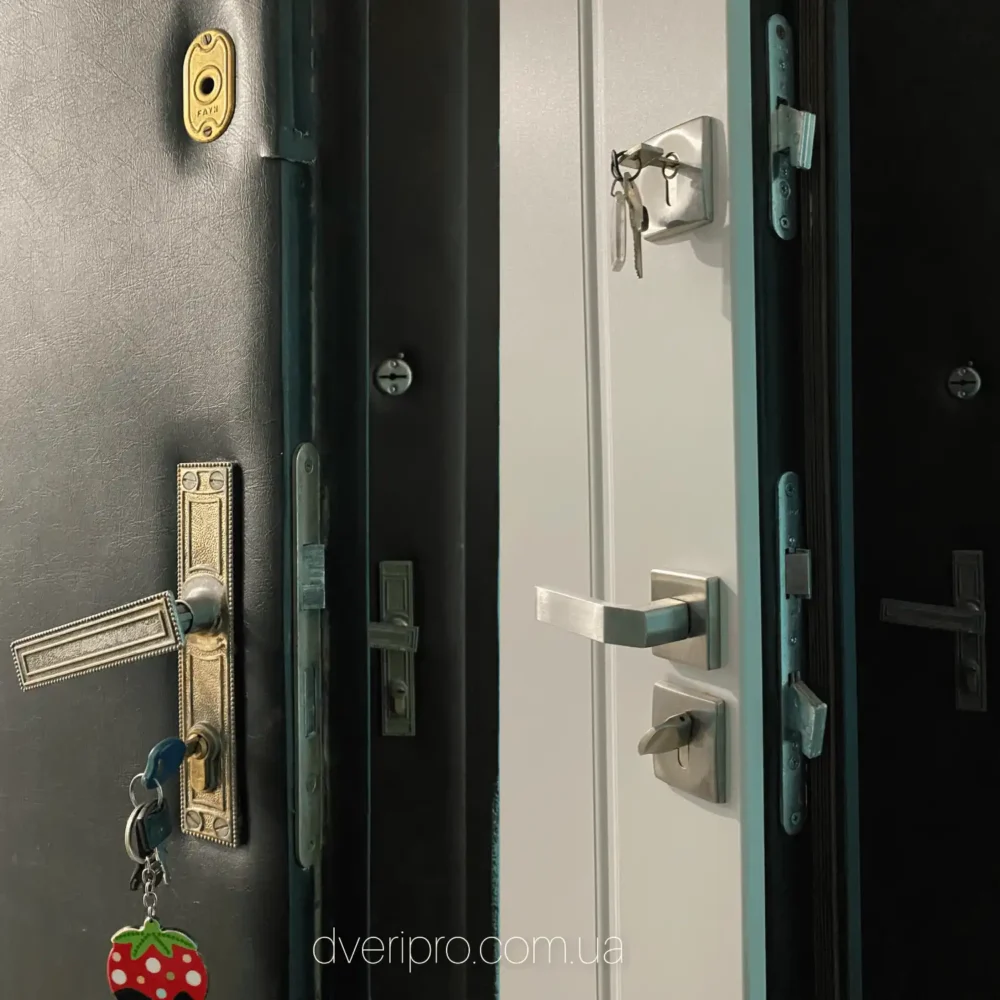 Сменили замки на Abloy с крюкообразными сувальдами, цилиндрами Evva с защитой протекторами Disec и ручками Rostex цвет нержавеющая сталь.